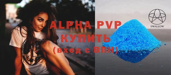 индика Сатка