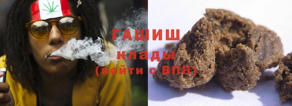 индика Сатка