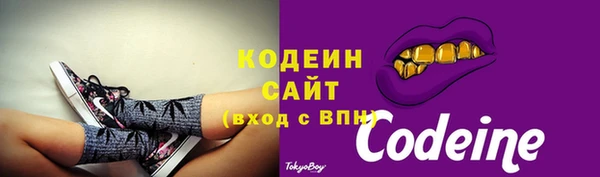 индика Сатка