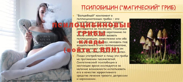 скорость Абинск