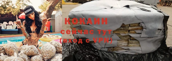 индика Сатка