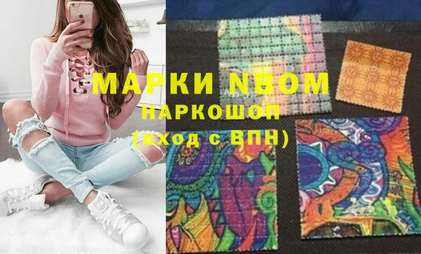 индика Сатка