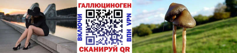 Псилоцибиновые грибы MAGIC MUSHROOMS  Бокситогорск 